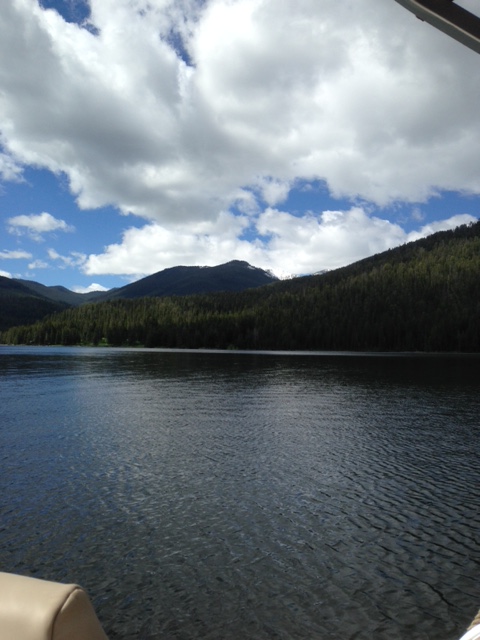 Image49