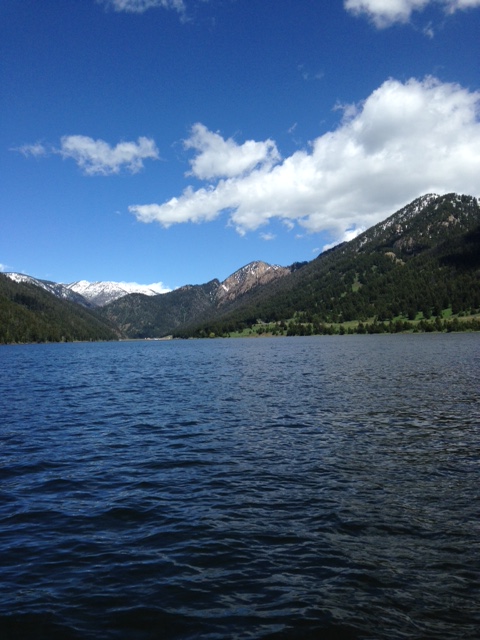 Image53