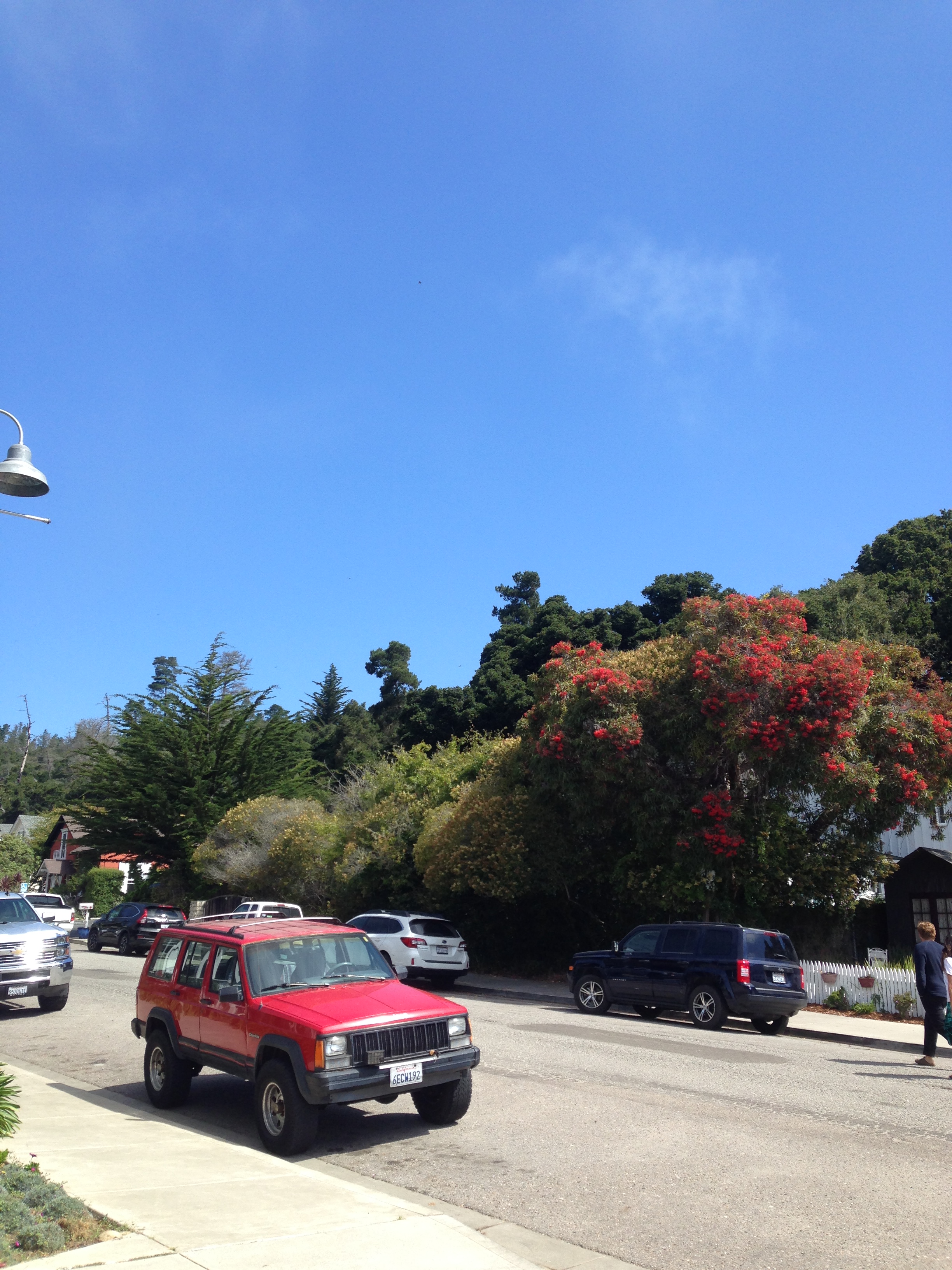 Cambria