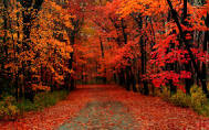 fall